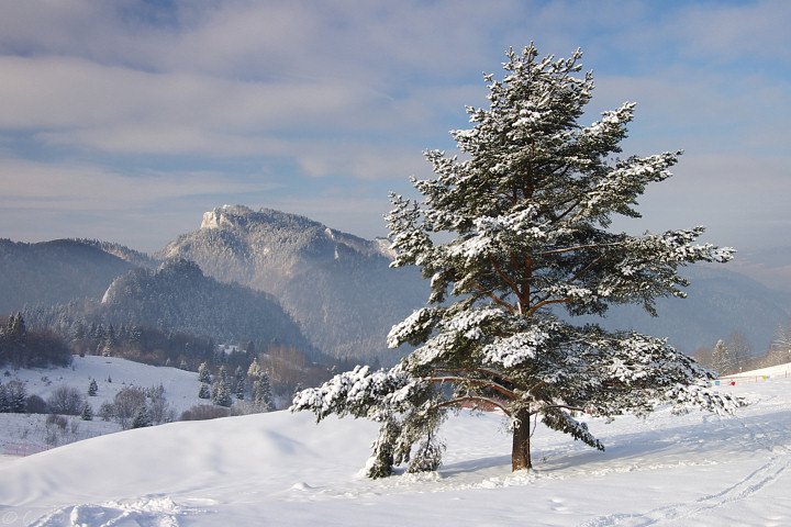 Prejazd Pieninami - 52. roč.