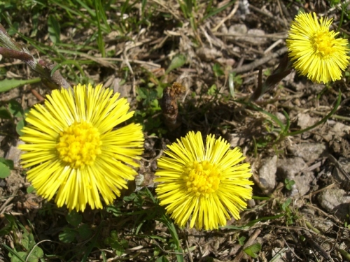 200804160747200.cimg3745