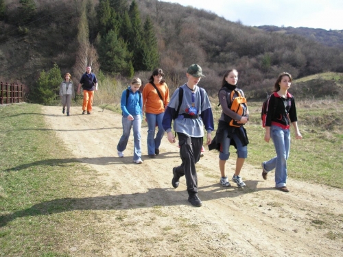 200804160747340.p4128256