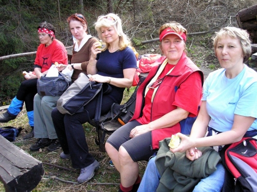 200804160747450.p4128271