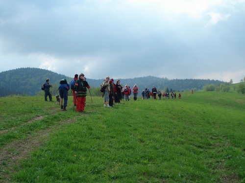 200805050746490.dsc03461
