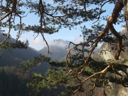 200810311603150.cimg8178