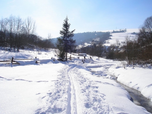 200902251345280.lv_40