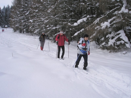 200902251345400.lv_03