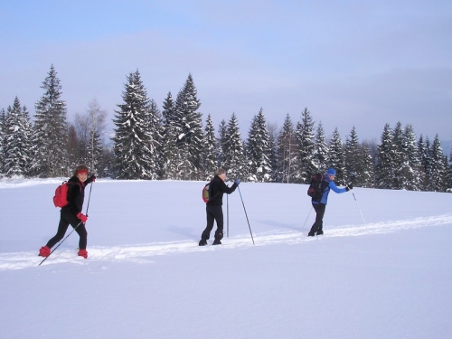 200902251345410.lv_13