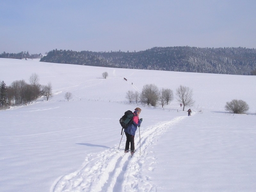 200902251345430.lv_24