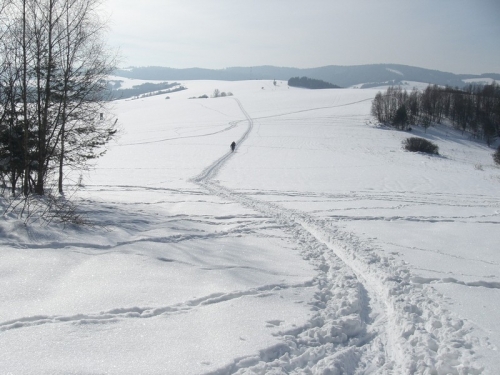 200902251345550.cimg9579