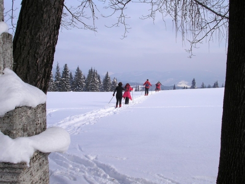 200902251346020.lv_19