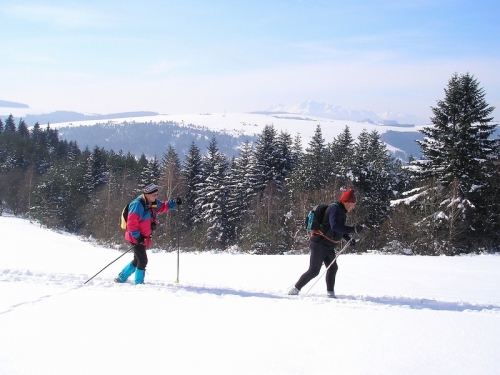 200902251346070.lv_28