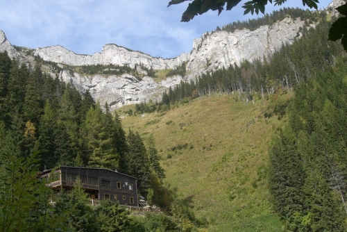 200910080857040.CIMG2216.JPG