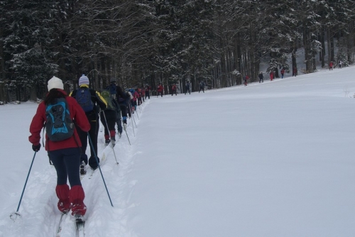 201003171312450.CIMG5312.JPG