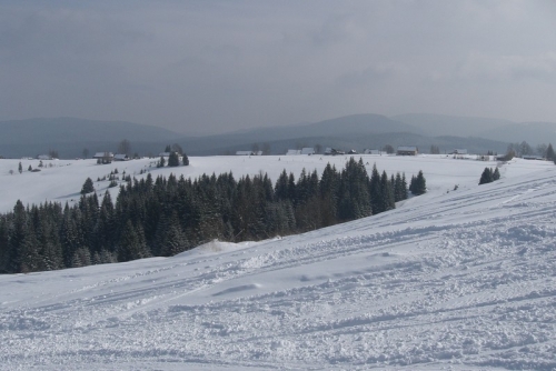 201003171313530.CIMG5388.JPG