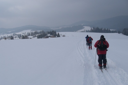 201003171314060.CIMG5396.JPG