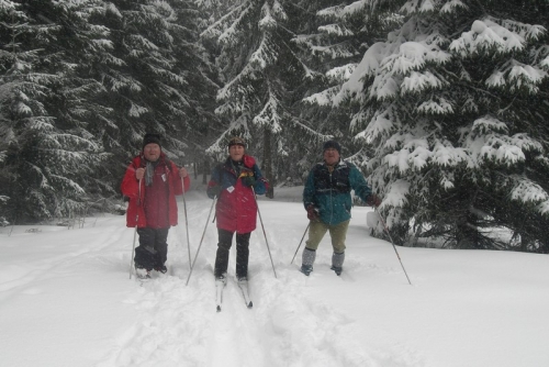 201003171315150.CIMG5547.JPG