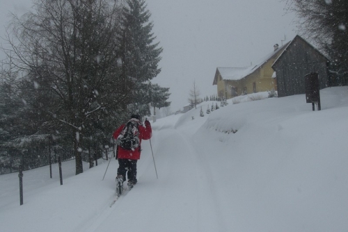 201003171316150.CIMG5589.JPG