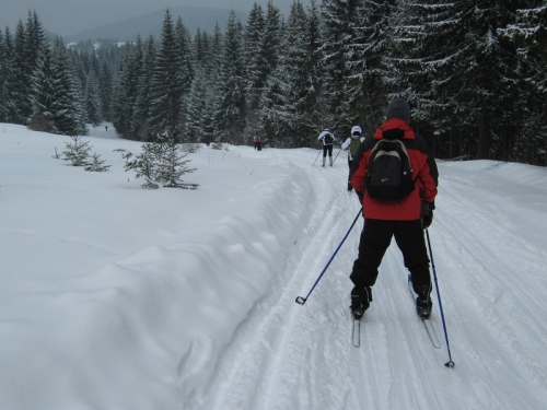 201003171318030.IMG_2211.JPG