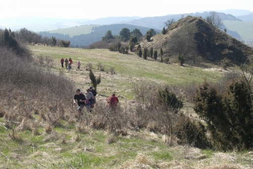 201004261631050.CIMG6598.JPG