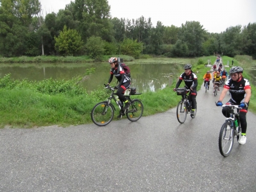 201009031435460.img_2847