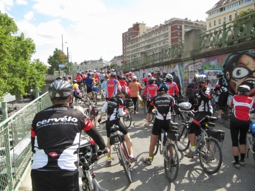 201009031435460.img_2927