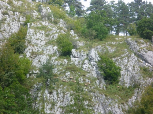 201009132005040.p1000970