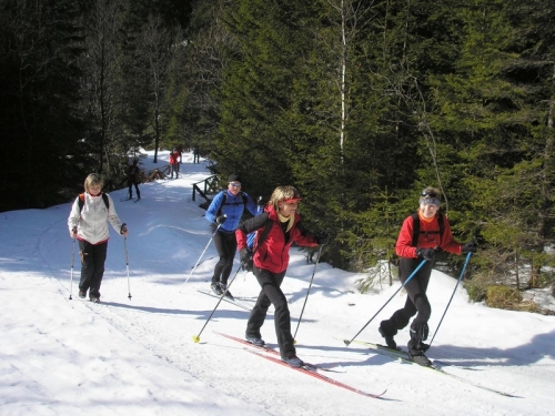 201103161243440.2011_03_12_bezkami_k_zelenemu_plesu006