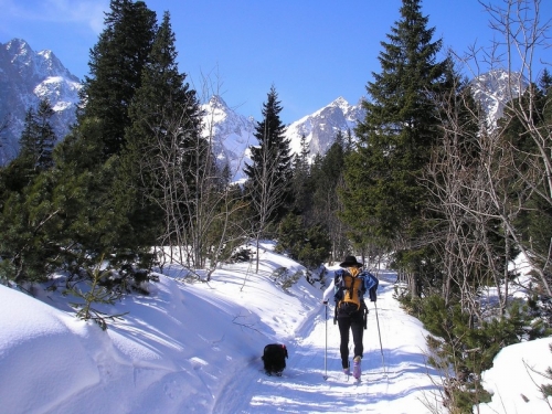 201103161243440.2011_03_12_bezkami_k_zelenemu_plesu020