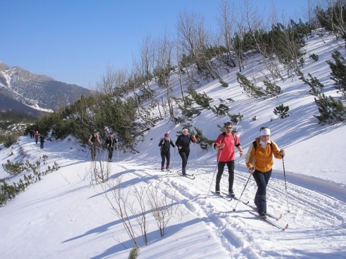 201103161243440.2011_03_12_bezkami_k_zelenemu_plesu034