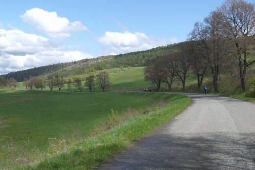 201105120953270.cimg2481