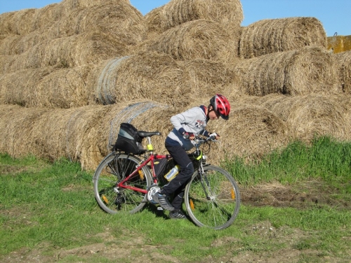 201105120953270.img_7991