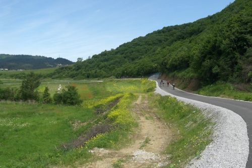 201106151050520.cimg3130