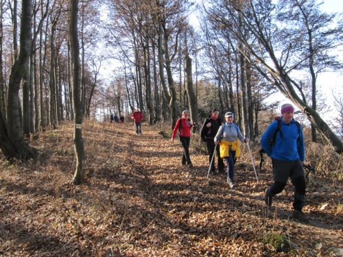201111211537370.img_4245