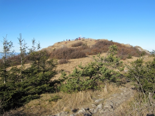 201111211537370.img_4296