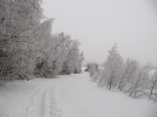 201202211457270.img_7046