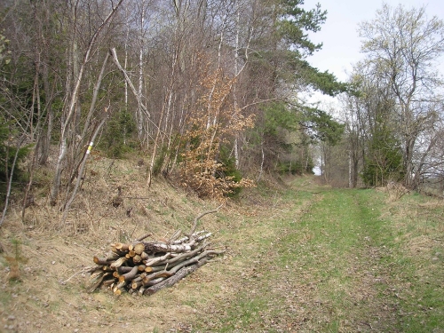 201204231203380.p4218256