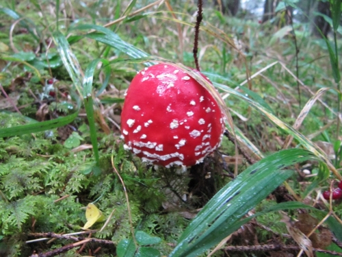 201210121128300.img_4067