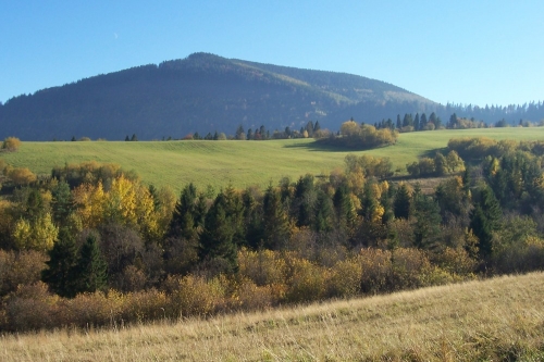 201210301349040.siminy_020