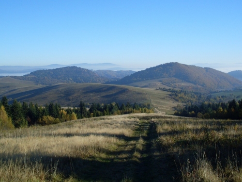 201210301349070.sdc13838
