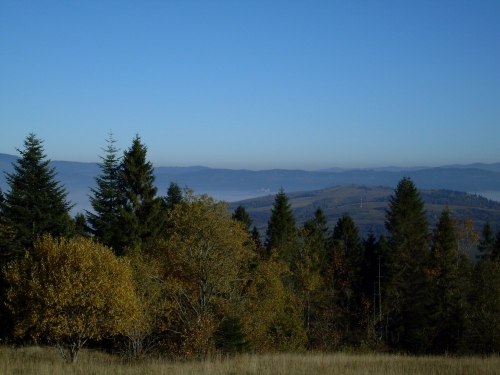201210301349070.sdc13847