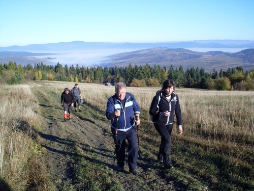 201210301349080.sdc13848