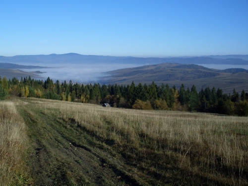 201210301349080.sdc13850