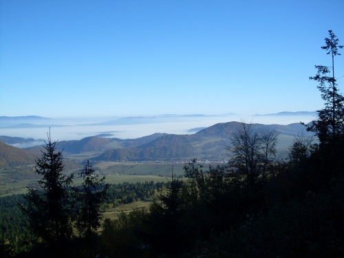 201210301349080.sdc13863