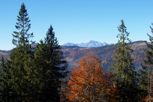 201210301349080.siminy_009