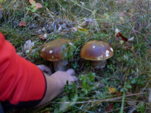 201210301349110.sdc13851
