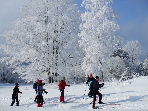 201301241434560.dscf9141