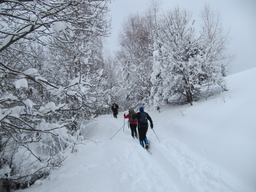 201302140859310.img_2307