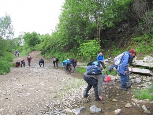 201305292251330.img_4846