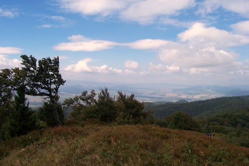 201309231129570.43_mincol_054