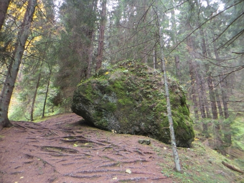 201310280813190.nizke_tatry_kst_013