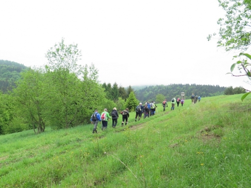 201506041659120.img_2010