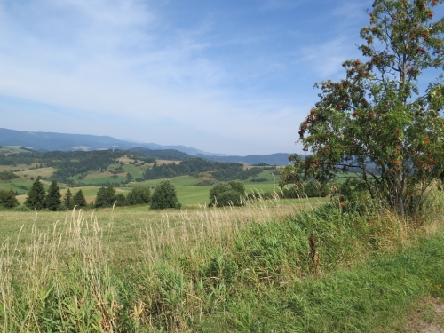 201509052349010.img_6549